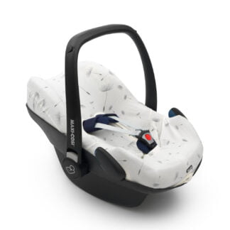 Forra Grupo 0+ ( Universal Cover Group 0+, Dandelion)